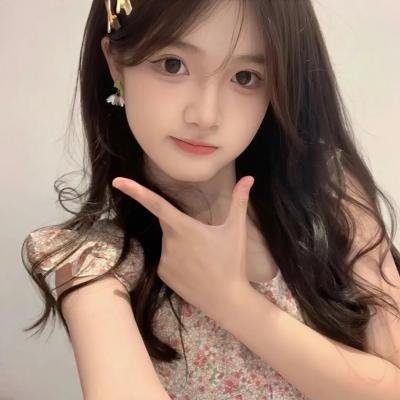 圣诞追缉令